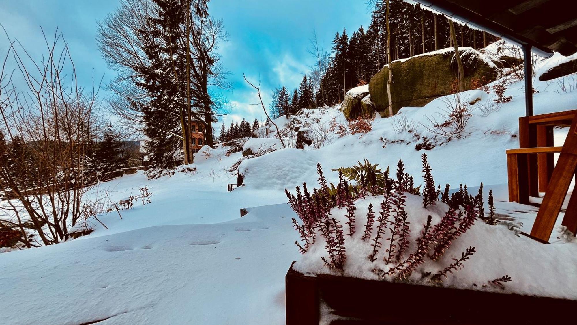 Chata Zulova Stran Janov nad Nisou Exterior foto